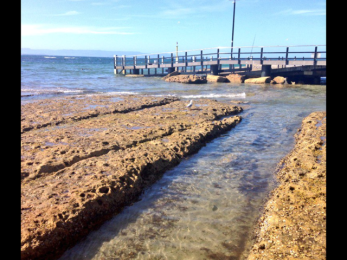 The Rockpool, Currarong.